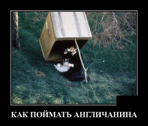 Демотиваторы (30 фото)