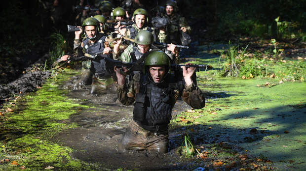 «Помощь» природы и мнимая «агрессия»: Европу высмеяли за попытки «обороняться» болотами