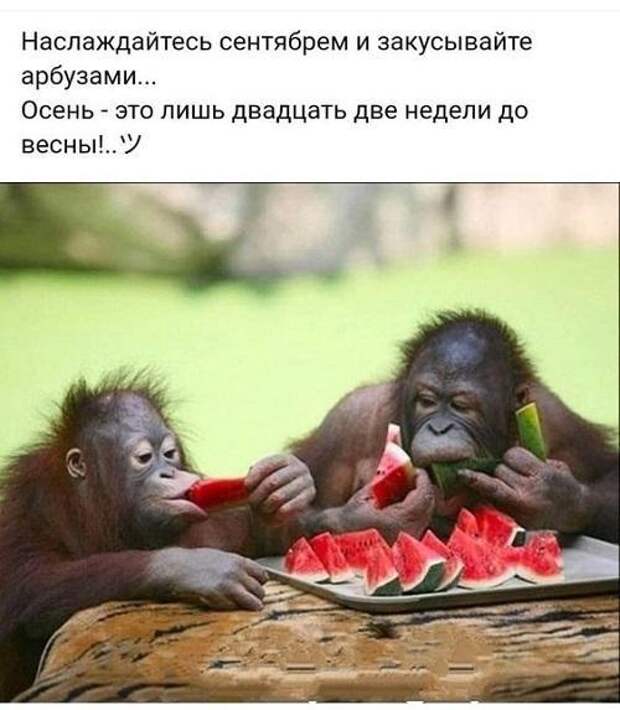 Ржачные до слез свежие картинки с надписями (четверг)