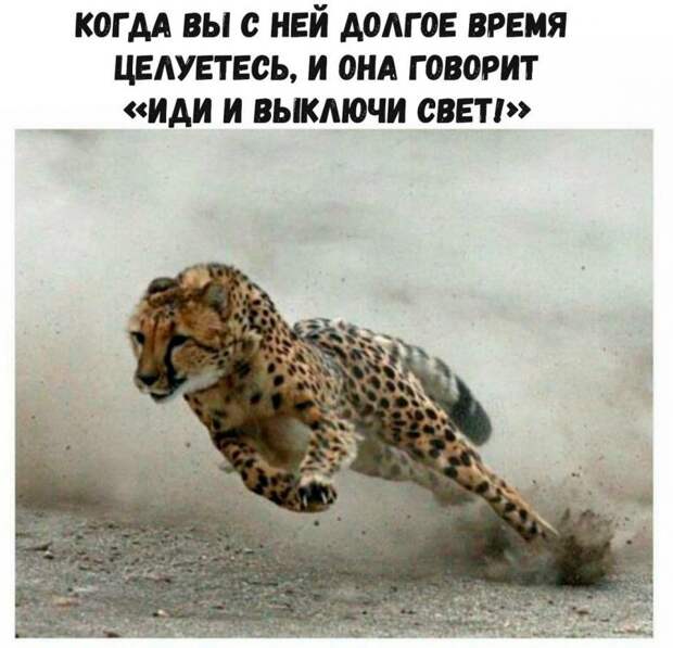 Приколюхи в стиле - "Когда..."