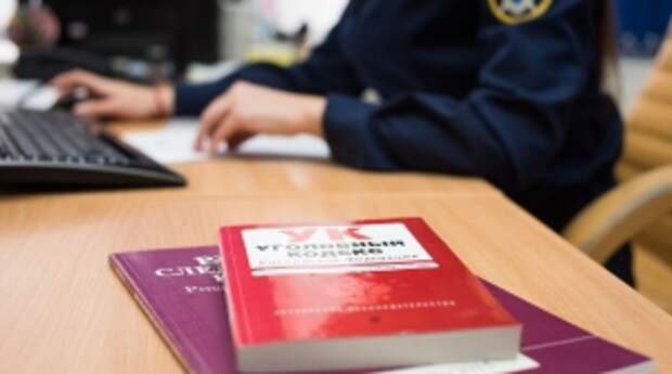 Председателю СК России будет представлен доклад о расследовании обстоятельств нападения на подростка около одного из торговых центров Московской области