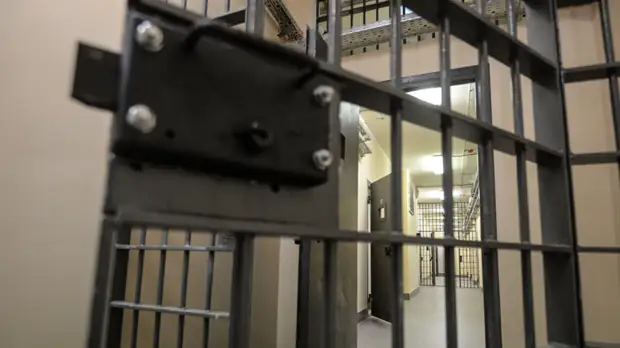 Верховный суд Ингушетии оставил под стражей тётю избитой девочки