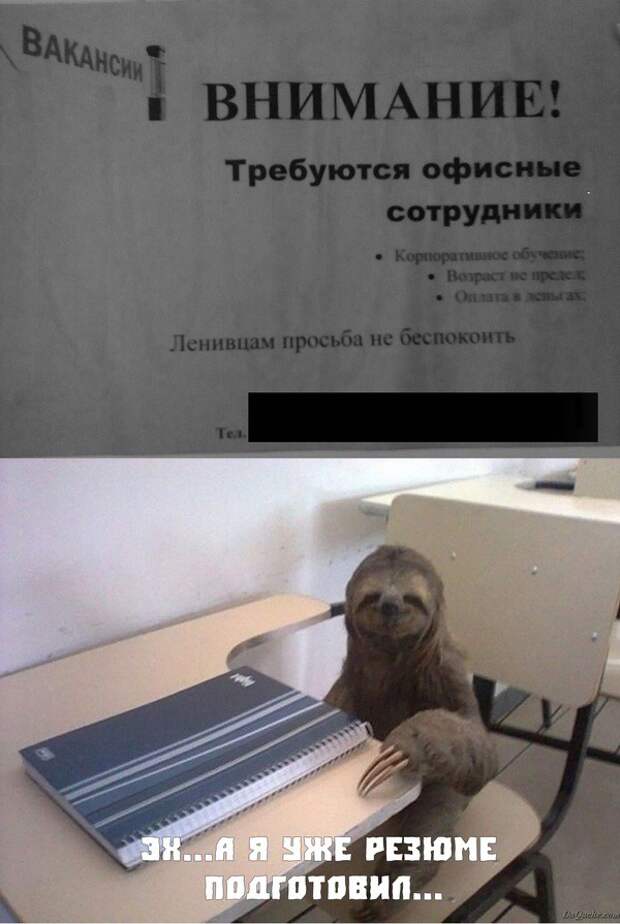 Дискриминация ленивцев! люди, объявление, прикол, юмор