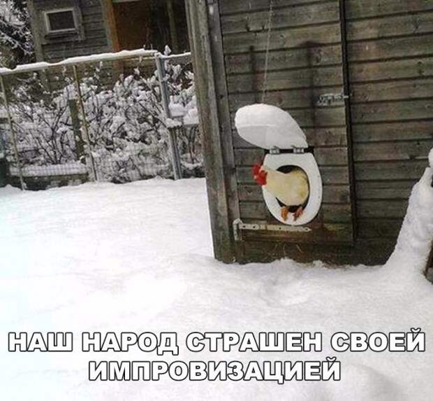 Прикольные фото