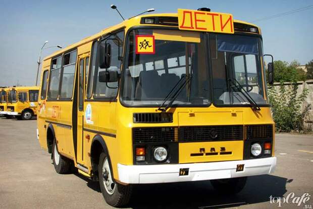 Интересные факты об автобусах: Школьные автобусы