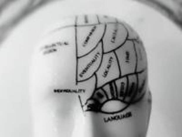 Мозг человека использует "автокоррекцию" так же как это делает Искусственный Интеллект