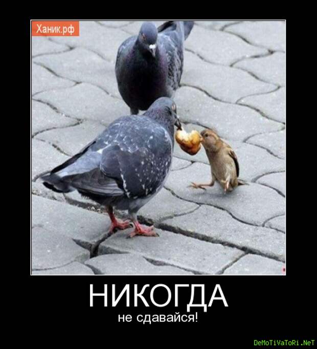1a90c436df7c85d6efcdf1c84b837f6f