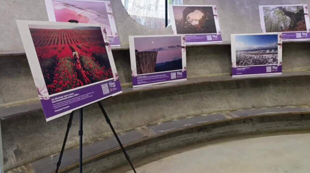 В Воронеже стартовали Дни крымского гостеприимства