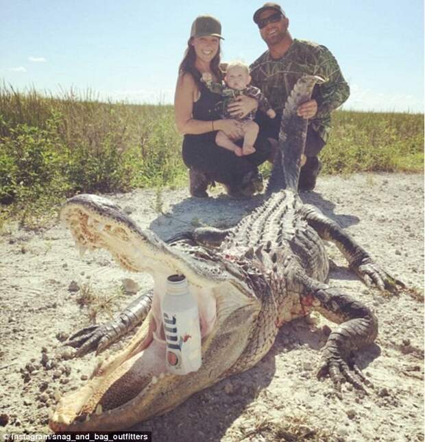 Шэннон Салливан с мужем и 6-месячным сыном вместе отправились охотиться на аллигаторов дети, женщины, животные, охота
