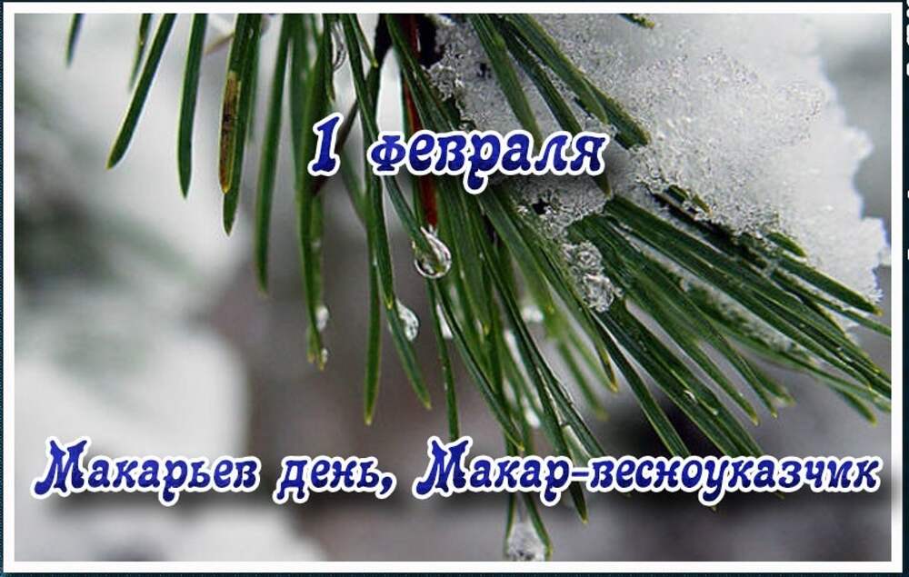 Праздник 1 февраля день. С последним днем зимы. С последним зимним днем января. С последними днями зимы.