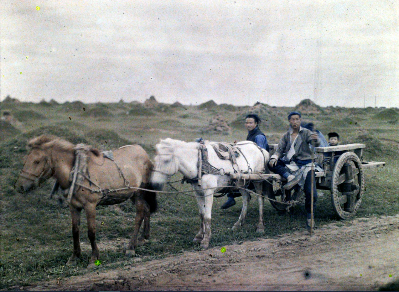 19 19