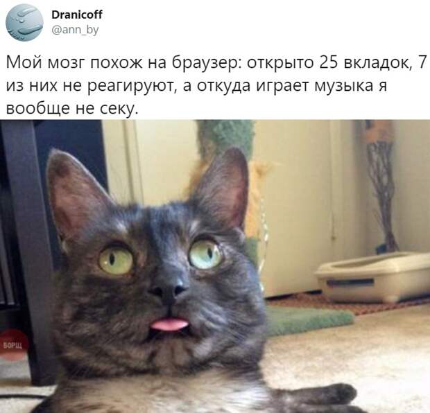Подборка картинок. Дневной выпуск (34 фото)