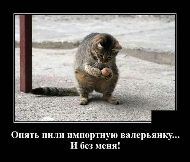 Демотиваторы (30 фото)