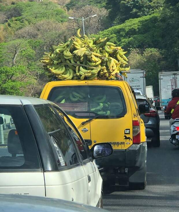 Везут бананы