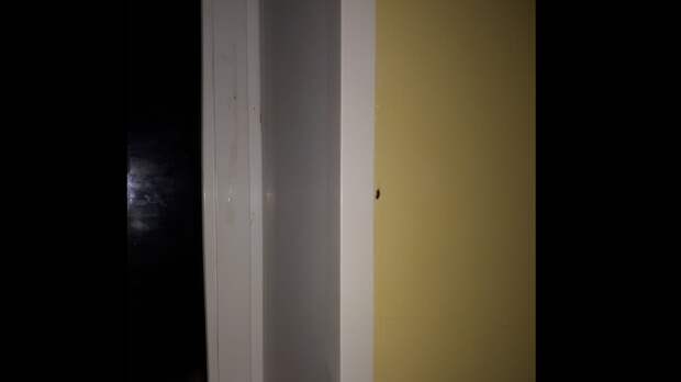 В нижегородском минздраве прокомментировали тараканов в детской больнице