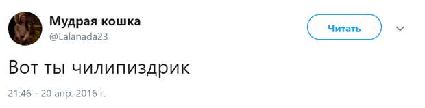 Чиилпиздрик откуда мем