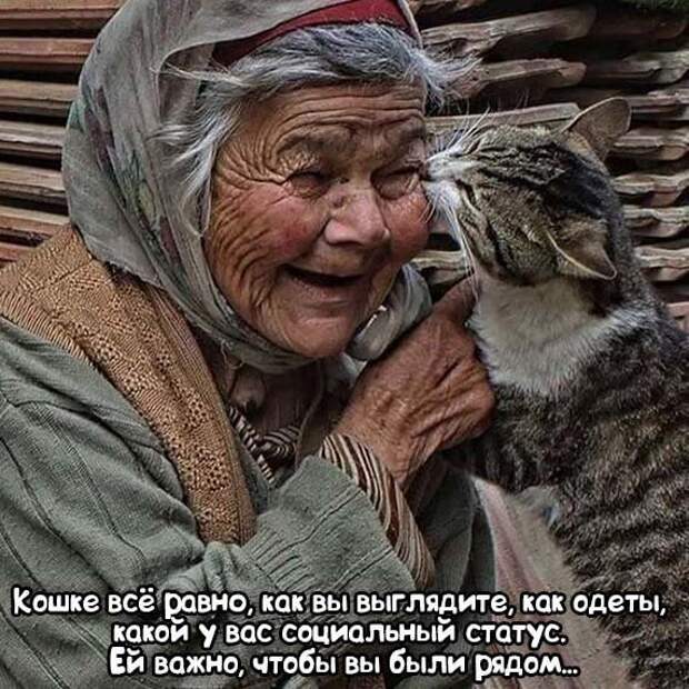 Прикольные и смешные картинки