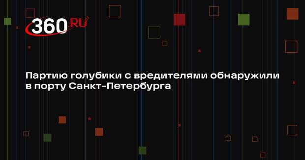 Партию голубики с вредителями обнаружили в порту Санкт-Петербурга