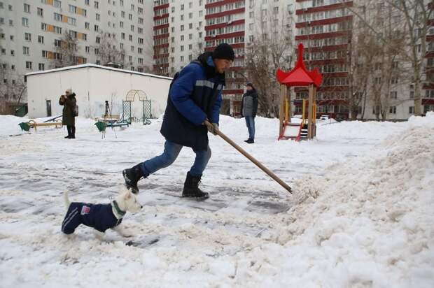 Из-за прошедших снегопадов коммунальщики работали в усиленном режиме / Фото: Ярослав Чингаев, «Юго-Восточный курьер»