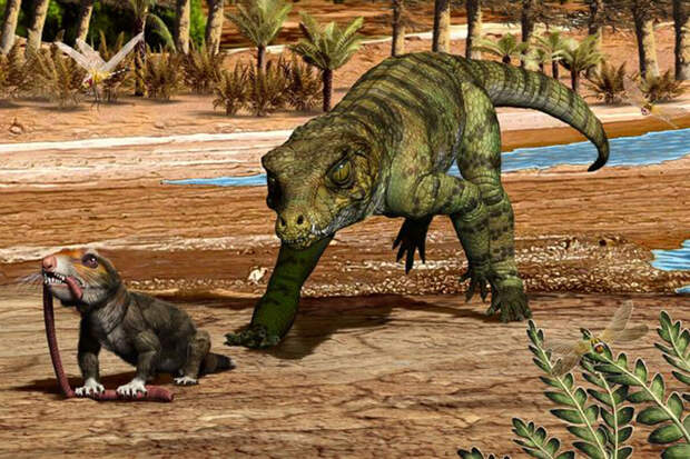 Science: "малый тираннозавр" был отдельным видом