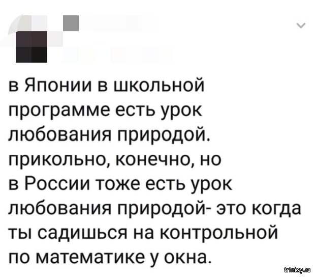 www.vsyako.net