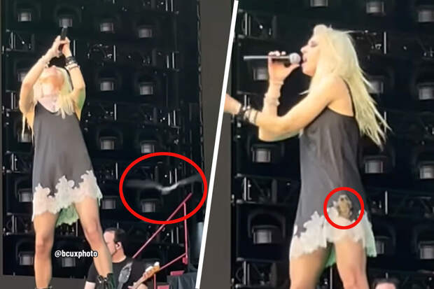 Солистку группы The Pretty Reckless Момсен укусила летучая мышь на концерте