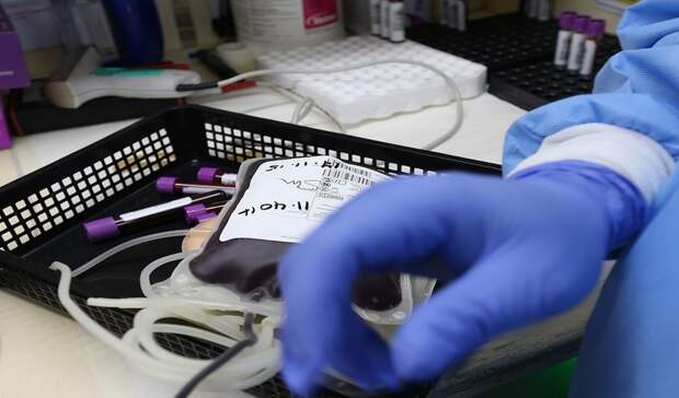 В России за сутки провели 284 тысячи тестов на коронавирус