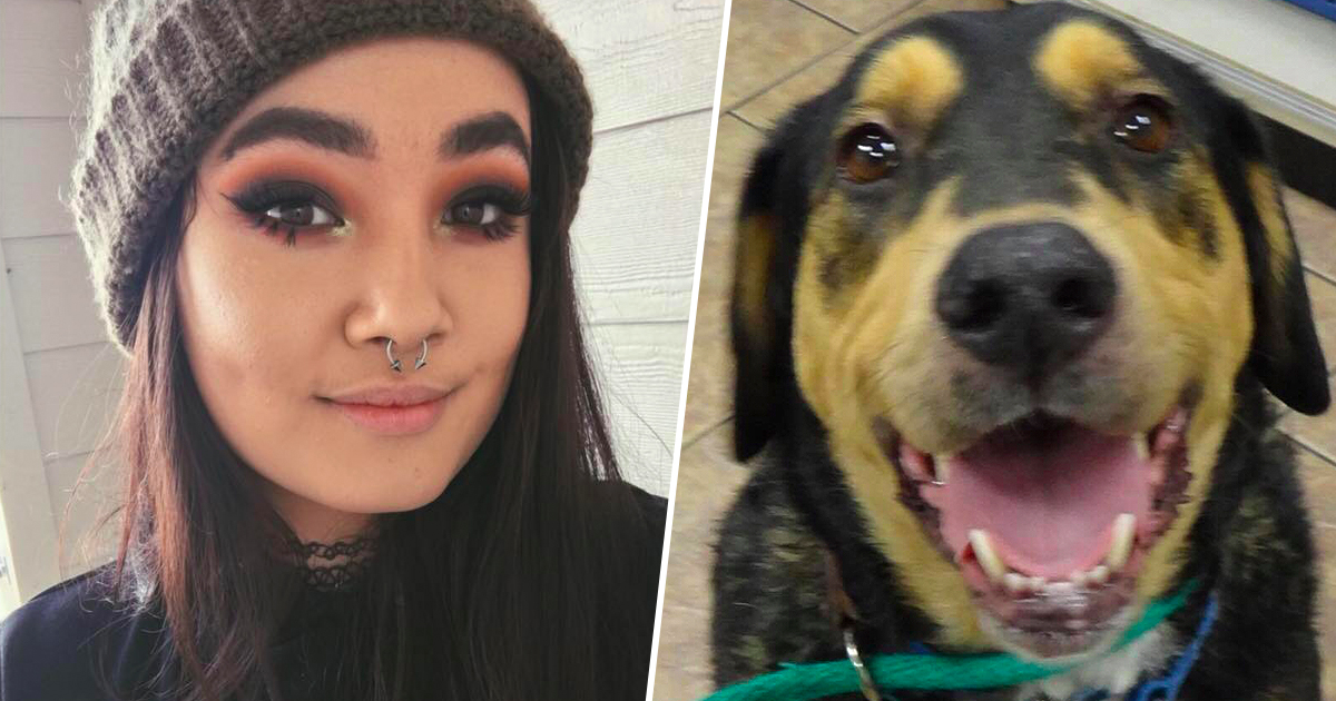 Woman Convinces Boyfriend To Adopt Dog With Epic PowerPoint dog powerpoint fb