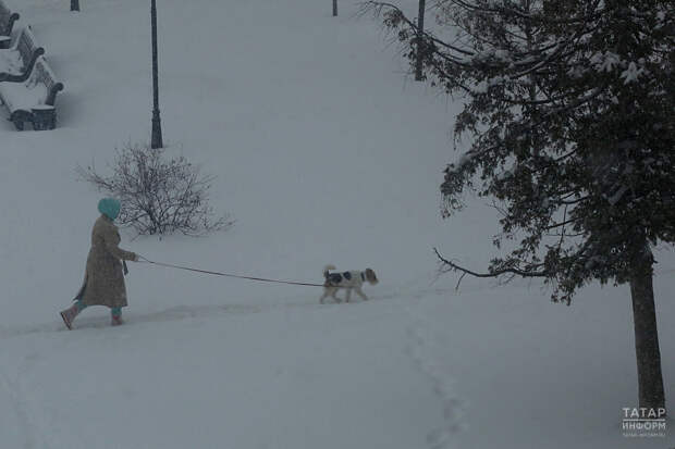 Юрист объяснил, можно ли избежать ответственности за опоздание на работу из-за непогоды