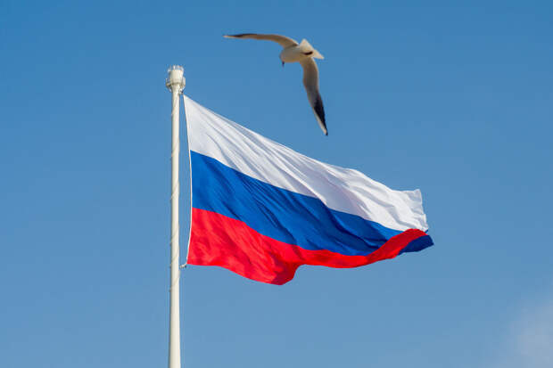 Главное за день в Петербурге 12 июня: празднование Дня России и встреча с участниками СВО