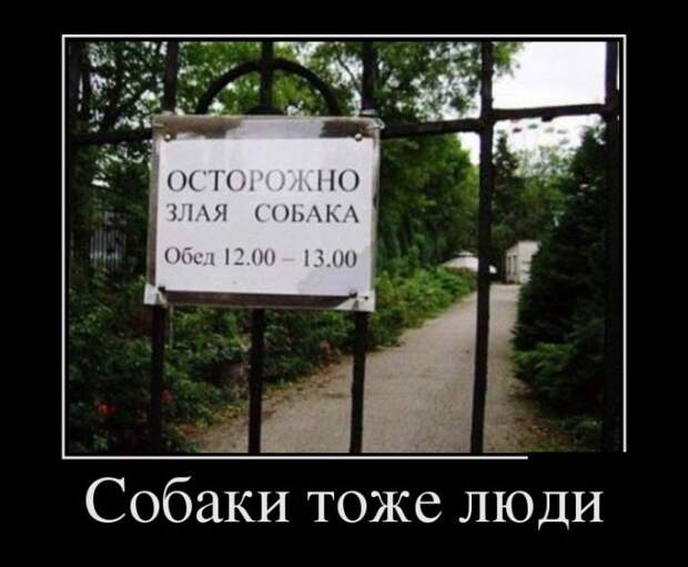 Демотиваторы (30 фото)