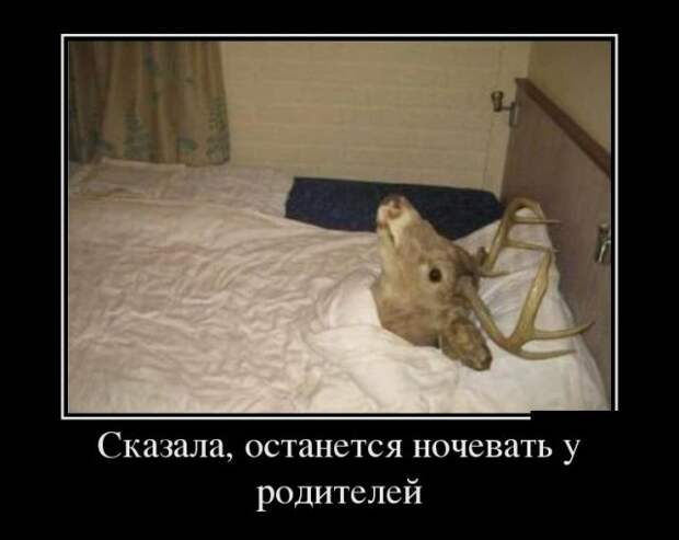 Демотиваторы (30 фото)