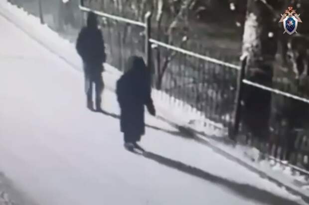 Найдена таксистка, увозившая пропавшего в Красноярске 14-летнего мальчика