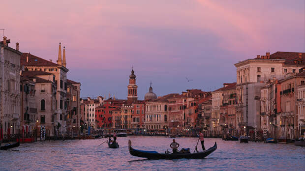 Гигантское мертвое существо парализовало движение по каналам Венеции