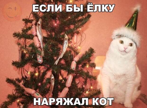 1453486487_foto-30
