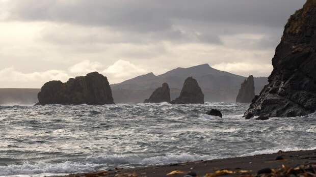 "Москва смеется над Токио". Запад признал: спор вокруг Курил зашел в тупик