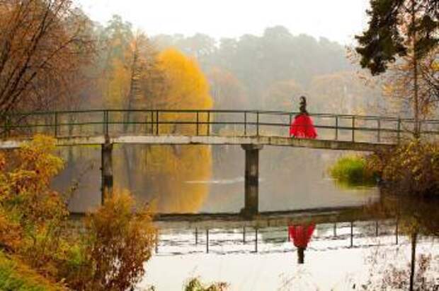 Смешной случай