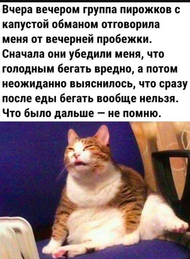 Все шуточки картинки