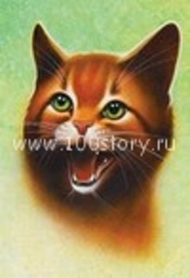Усатый терминатор