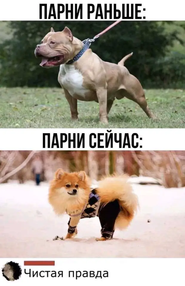 Вчера убедился во вреде курения. Пошел на кухню выкурить сигаретку, а там супруга суп варит. Пришлось картошку чистить Вчера убедился во вреде курения. Пошел на кухню выкурить сигаретку, а там супруга суп варит. Пришлось картошку чистить просто, покоя, такое, такой, малыш, садовник, значит, дорогой, мысль, надеть, придумала, каскадёра, заметку, подменюЖенщинам, сидел, приезжал, одежде, утром, чтобы, вечером