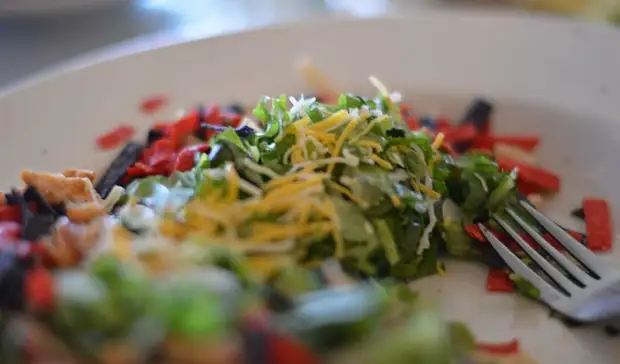 В Московской области предложили увеличить бюджет на питание в школах