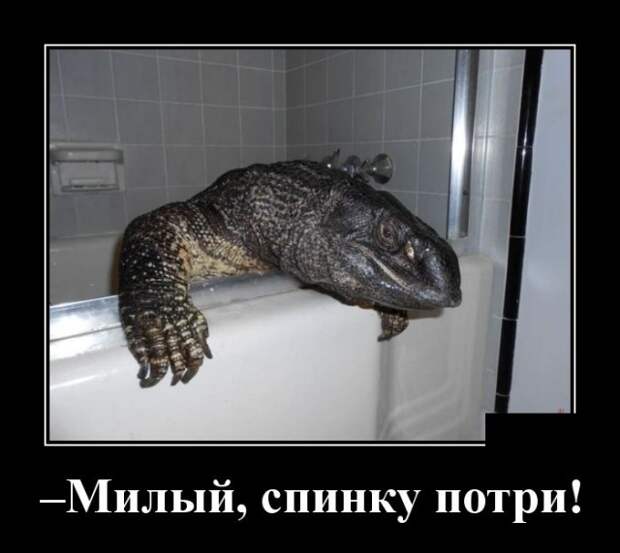 www.vsyako.net
