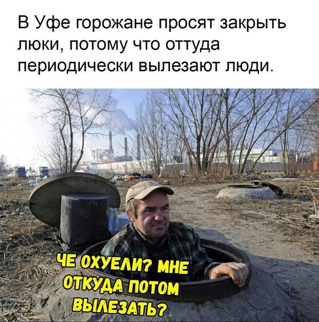 Кроты Кроты