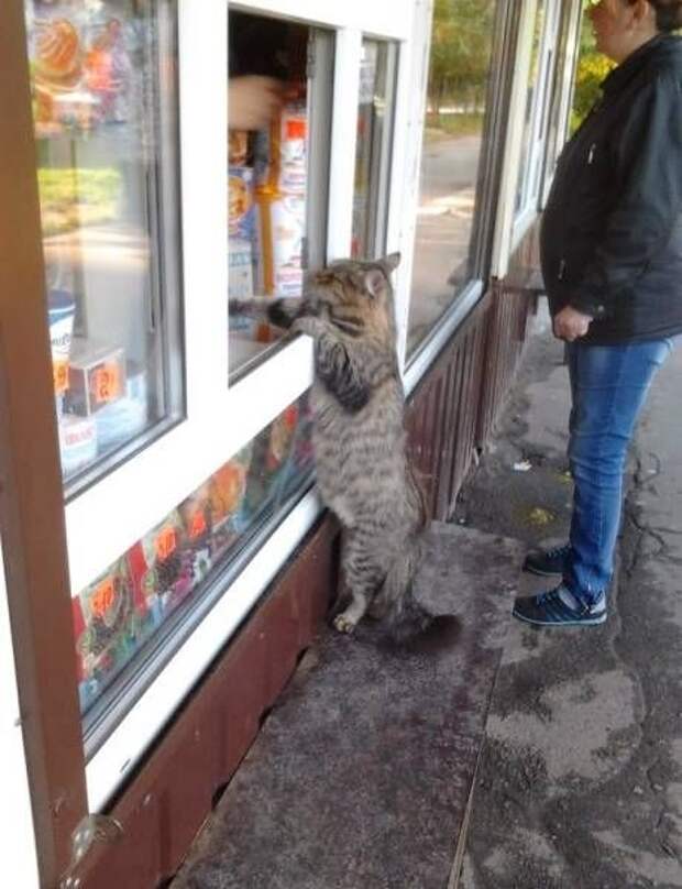 Прикольные картинки Прикольные картинки