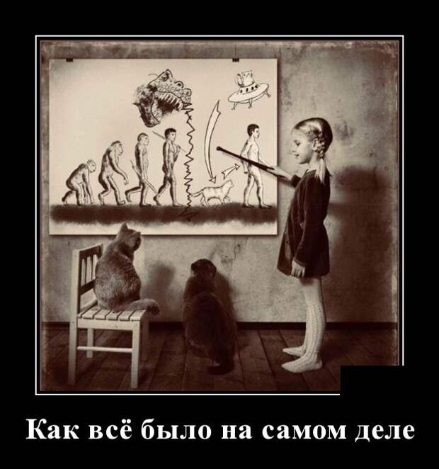 Демотиваторы (30 фото)