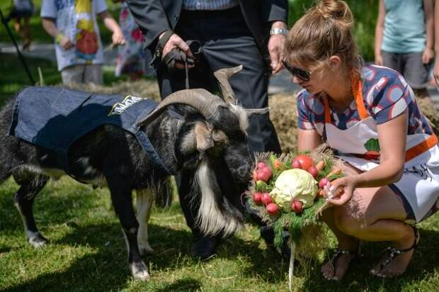 Встреча козла Тимура на ВДНХ