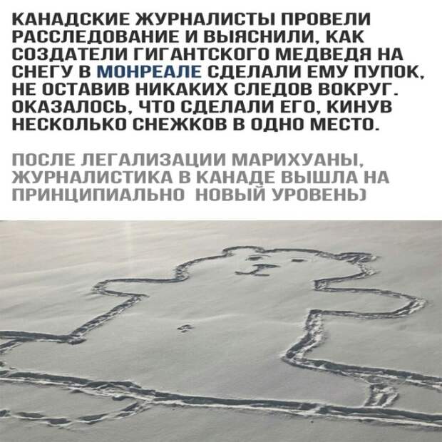 Подборка картинок. Дневной выпуск (20 фото)