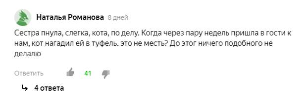 Как сделать так, чтоб люди не били кошек? Итоги года зоопсихолога.