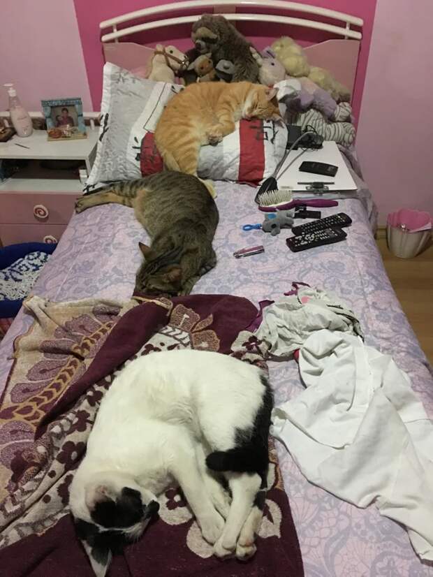 Сегодня ты спишь на диване