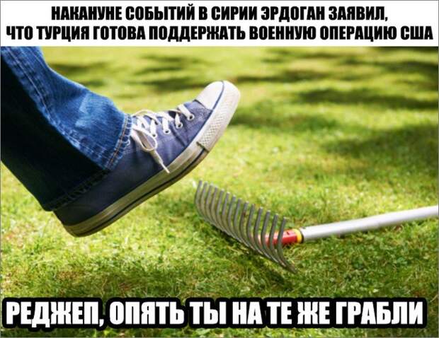 5d546d.jpg